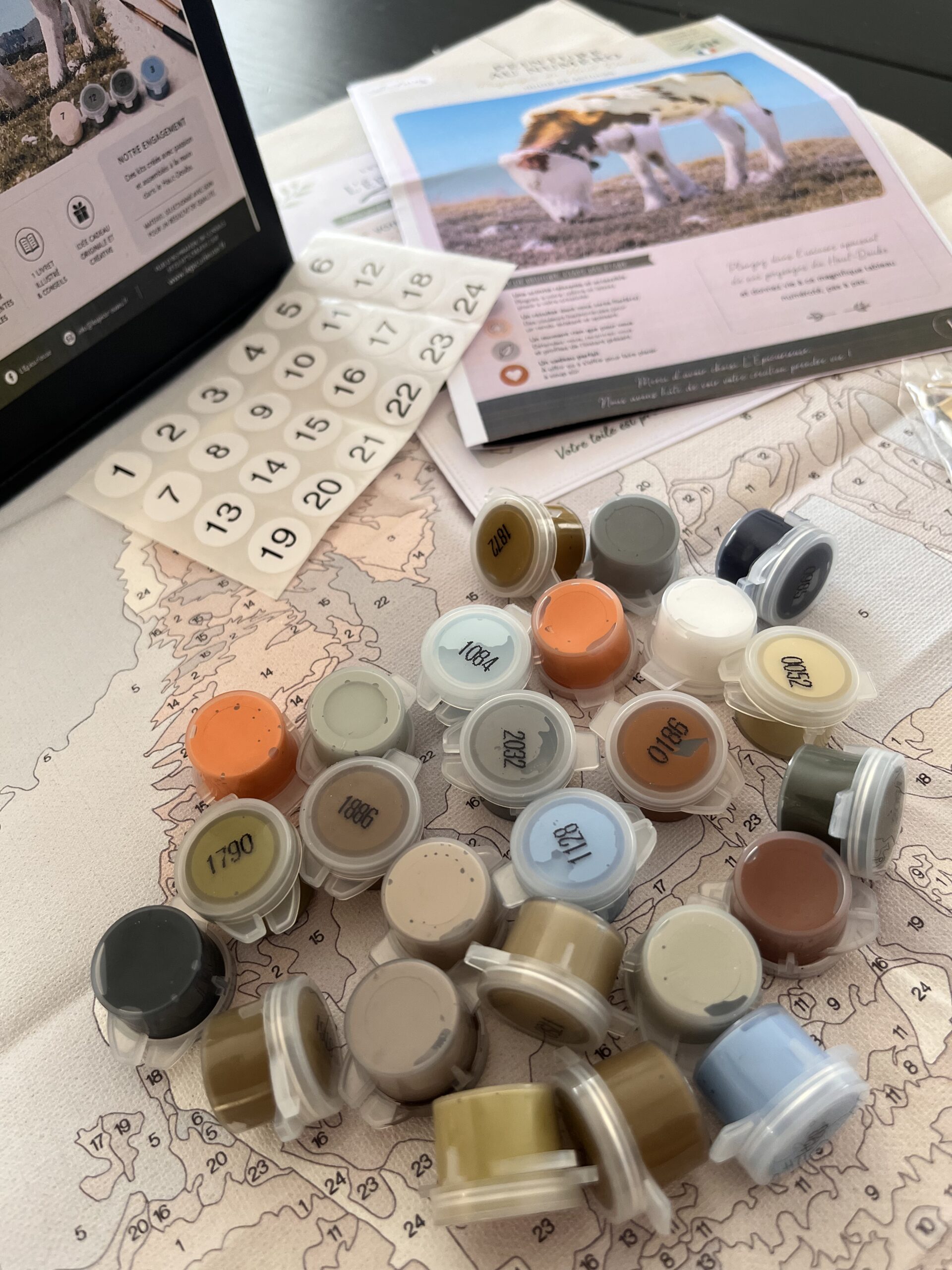 Pots de peinture acrylique et pinceaux du kit peinture au numéro Montbéliarde