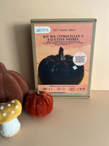Photo du kit complet (citrouilles, rouleau de facettes, marqueur, tiges) : Tout le matériel inclus pour réaliser vos 3 citrouilles à facettes noires.